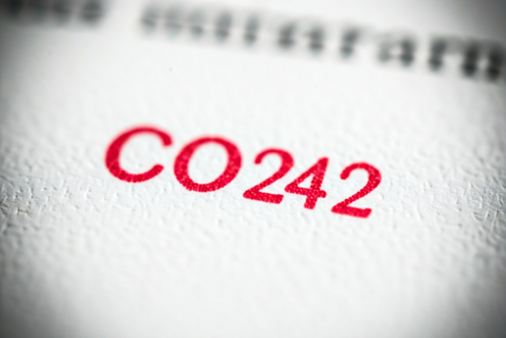 CO 242 denial